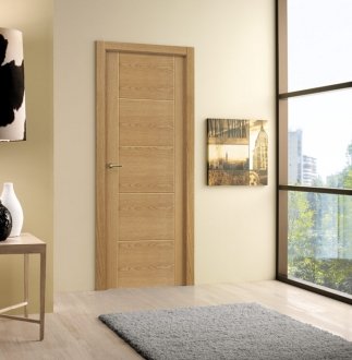 Puerta Interior Moderna