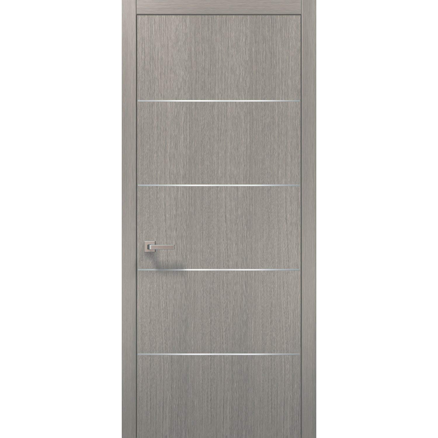 Puerta Moderna Interior